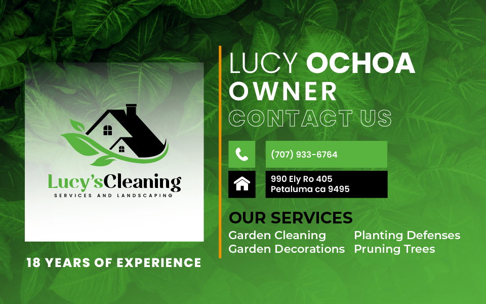 Lucy's Cleaning and Landscaping Image